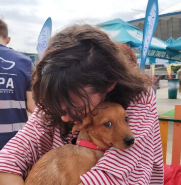 ASPA organizează un târg de adopții: 37 de căței și 20 de pisici își caută familii, pe 5 octombrie, la Kaufland Barbu Văcărescu