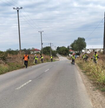 Bilanțul acțiunii de cosire a ambroziei pe drumurile județene din Ilfov