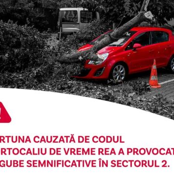 Pagube majore în Sectorul 2: copaci prăbușiți, acoperiș desprins și mașini avariate / Primăria oferă despăgubiri