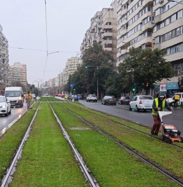 Lucrări de întreținere în parcurile și zonele verzi din Sectorul 2