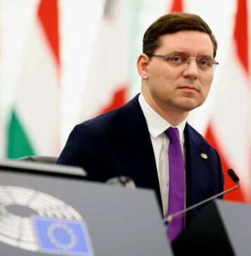 Victor Negrescu: Am început săptămâna prezidând sesiunea plenară de la Strasbourg