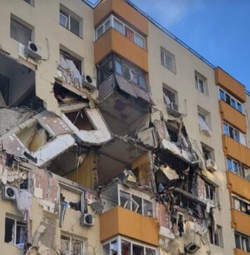 Asociația Kola Kariola oferă ajutor animalelor afectate de explozia din Rahova