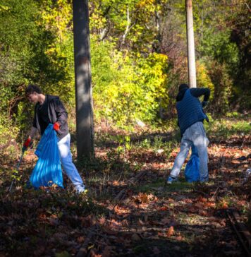 Amplă acțiune de voluntariat pentru curățarea pe Pajiștea Petricani