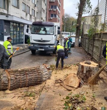 Sectorul 2: Unde s-a intervenit în această săptămână pentru lucrări de curățenie și întreținere