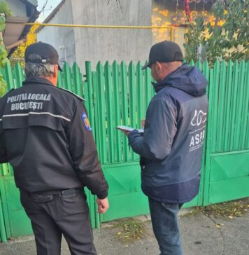 ASPA și Poliția Locală continuă acțiunile de informare și control privind deținerea legală a câinilor în Sectorul 1