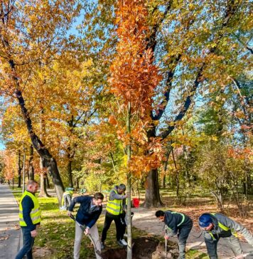Primăria Capitalei începe vineri plantare a peste o mie de copaci în Parcul Regele Mihai I