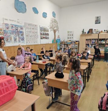 „Ora cu și pentru animale” ar putea ajunge și în grădinițe: CJ Ilfov propune extinderea opționalului