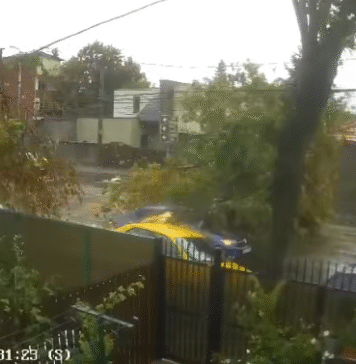 VIDEO/ Momentul în care un copac cade peste o mașină aflată în mers, în București