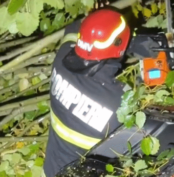 ISU București-Ilfov: 77 de intervenții ale pompierilor în urma copacilor căzuți și a acumulărilor de apă