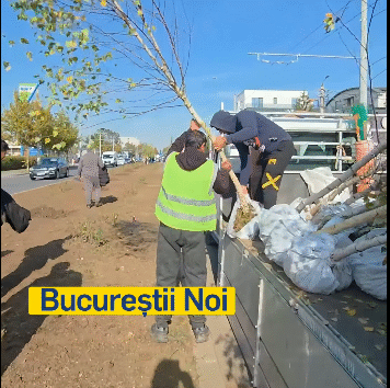 Sectorul 1 devine tot mai verde: peste 420.000 mp de spații verzi reamenajate și noi în ultimul an