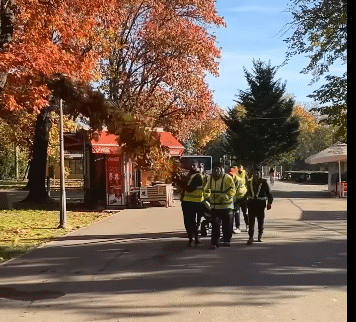 Un nou suflu verde pentru Parcul Regele Mihai I al României: 1.000 de arbori vor fi plantați de ALPAB