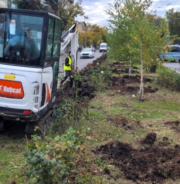 Curățenie de toamnă în Sectorul 1, în cartierul Bucureștii Noi