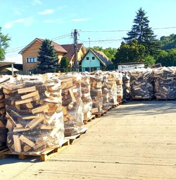 Lemne pentru iarnă: Romsilva scoate la vânzare 2 milioane de metri cubi de lemn, de la 150 lei/metru cub