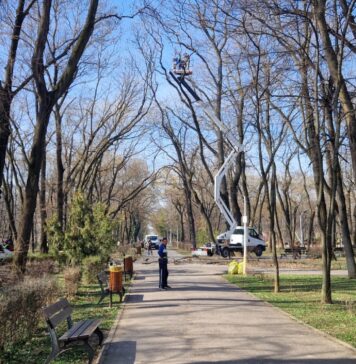 Proiect – Cresc amenzile pentru deteriorarea spațiilor verzi și a arborilor din București