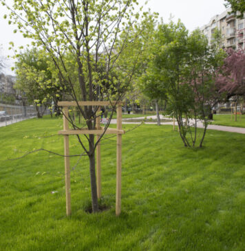 Amenzi mai mari pentru distrugerea spațiilor verzi din Capitală