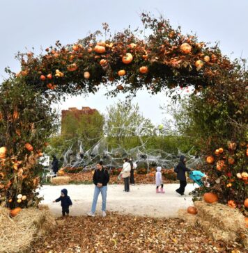 Peste 60.000 de oameni s-au distrat în acest weekend la West Side Hallo Fest! Ce a însemnat, în cifre, cel mai mare festival de Halloween din România