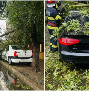 Furtuna a făcut ravagii în București. Peste 200 de copaci au fost doborâți de vântul puternic iar 163 mașini au fost avariate