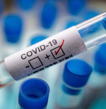 1,627 new cases of SARS-CoV-2 infection, 6-12 October