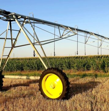 Area of organic agriculture in Romania increases by 160% in the last 12 years