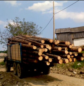AUR suggests capping firewood prices