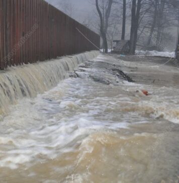 Severe rain fells trees, floods houses, streets in Constanta County