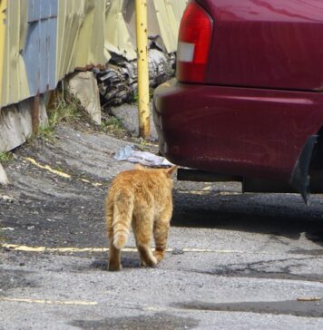 AFM: Bugetul pentru Rabla Auto-persoane fizice va fi suplimentat cu 45 milioane de lei