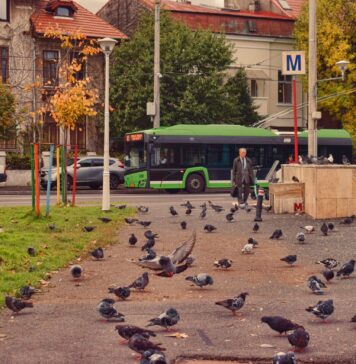 STB și Asociația Educ lansează campania „Bucureștiul se mișcă împreună”, pentru promovarea mobilității inteligente