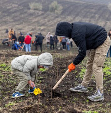 Guvernul Republicii Moldova a plantat 110 de mii de puieți, în cadrul campaniei „Generația pădurii”