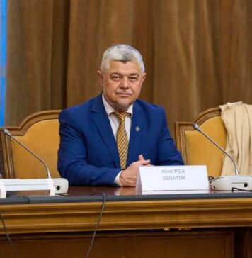 Ninel Peia, mesaj pentru cetățenii Bucureștiului: ”Pe 7 decembrie votăm Anca Alexandrescu primar general”