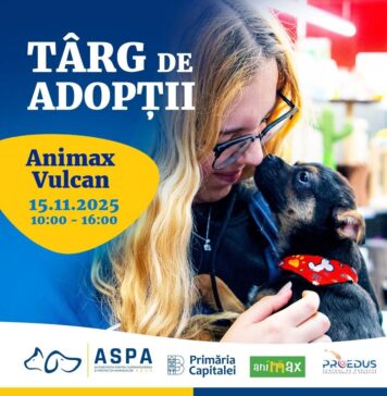 Bucureștenii sunt invitați la un nou târg de adopții de căței organizat de ASPA
