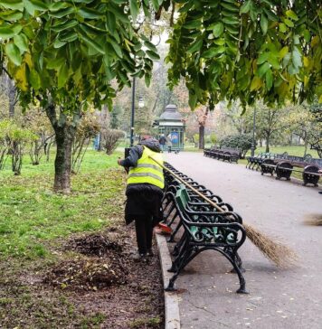 Amplă campanie de curățenie și plantări în Capitală: intervenții în parcuri și în Centrul Istoric