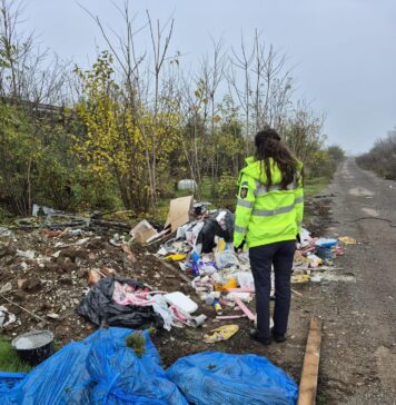 Poliția Locală Pantelimon caută persoanele care persoanele care aruncă gunoi în cantități mari pe spațiile verzi