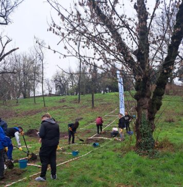 Zilele acestea se plantează copaci în Parcul Tineretului