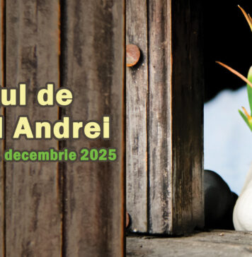 Târgul de Sfântul Andrei va fi deschis la Muzeul Satului între 29 noiembrie şi 1 decembrie