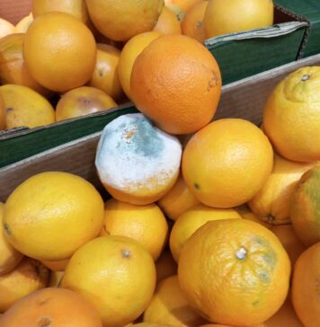 Comisarii ANPC au dat amenzi de aproape 5,5 milioane de lei, în urma controalelor din această săptămână