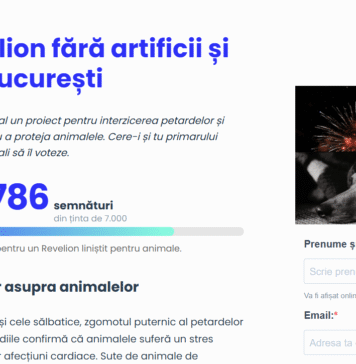 Petiție pentru un Revelion fără artificii în București. Proiect depus în Consiliul General pentru interzicerea petardelor, în sprijinul animalelor și al siguranței publice