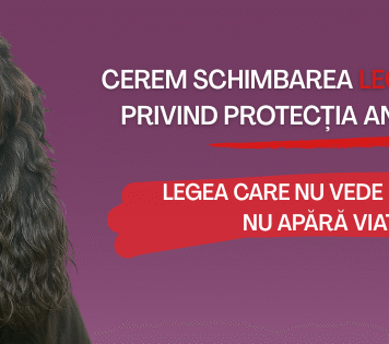 România are legi pentru animale, dar nu are protecție reală. Campania „Legea care nu vede durerea nu apără viața” aduce în atenție cifrele invizibile ale cruzimii