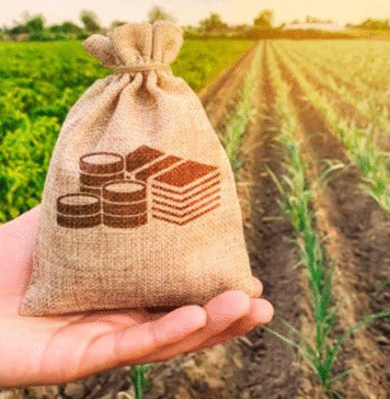 Strategia națională de promovare a produselor agroalimentare românești, aprobată de Guvern