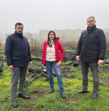 Anca Alexandrescu: „Moştenitorii” lui Videanu şi Nicuşor Dan vor să vină la butoane ca să apere în continuare mafia imobiliară din Bucureşti