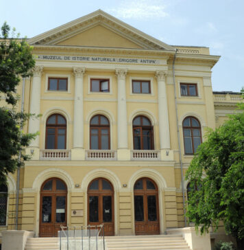 În timp ce Kievul închide școlile şi bisericile în limba română, muzeul Antipa din București anunță inaugurarea unui ghid audio în limba ucraineană