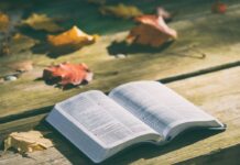 Care este cuvântul anului 2025 potrivit Cambridge Dictionary