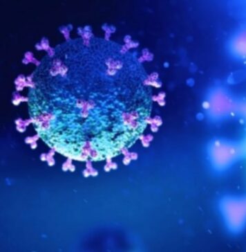 Romania reports 65,081 cases of respiratory infections, November 3-9