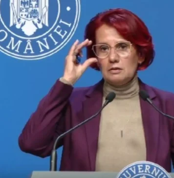 Cum justifică Ioana Ene Dogioiu studiile la privat. Controverse pentru membrii Guvernului după minciunile lui Moșteanu din CV (realitatea.net)