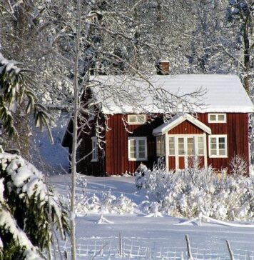 Cabanele Romsilva, scoase la închiriere în regim hotelier, pe Airbnb