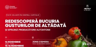 Weekend plin de gust și tradiție la Piața Volantă din zona Cișmigiu!