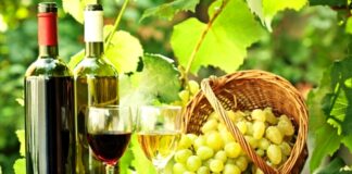 Producţia de vin a României ar urma să ajungă în acest an la 4,1 milioane de hectolitri