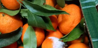 ANPC a aplicat amenzi de peste 14 milioane de lei în urma unor controale la peste 1.700 de operatori economici