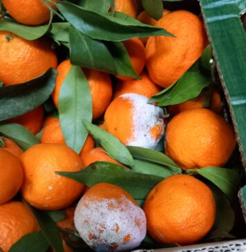 ANPC a aplicat amenzi de peste 14 milioane de lei în urma unor controale la peste 1.700 de operatori economici