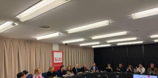 Victor Negrescu: O voce puternică a României în Parlamentul European se construiește prin muncă, prezență constantă și asumare