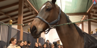 Eveniment educativ dedicat copiilor și tinerilor, organizat la centrul ecvestru din Snagov